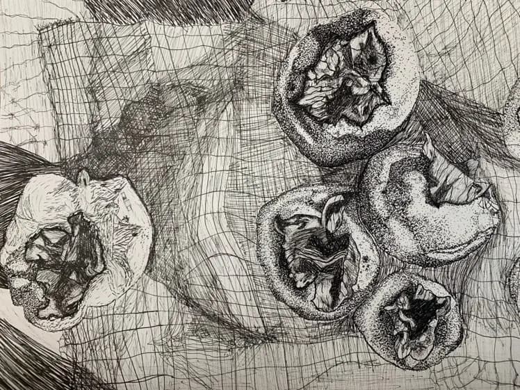 Persistance of Persimmons